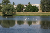 Výlet